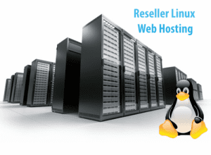 reseller hosting